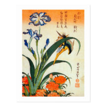 アヤメにカワセミ, 北斎 Iris and Kingfisher, Hokusai, Ukiyo-e Postcards