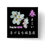 募金用 , Cherry blossoms , 桜 ピン