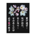 募金用 , Cherry blossoms , 桜 ポストカード