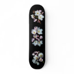 募金用 , Cherry blossoms , 桜 skateboards