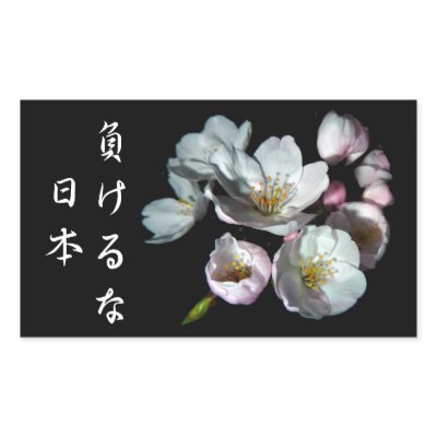 募金用 , Cherry blossoms , 桜 長方形シールステッカー by pukyuu