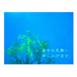 暑中見舞い summer greeting 葉書き