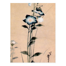 桔梗, 北斎 Chinese bellflower, Hokusai Ukiyo-e Post Cards