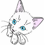 猫3 写真の切り抜き