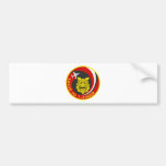 航空自衛隊　南西航空団司令部飛行隊　Ｔ-４　ライダ－パッチ BUMPER STICKERS