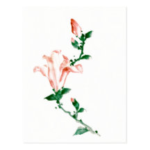 葛飾北斎 Pink Blossoms, Katsushika Hokusai Postcards