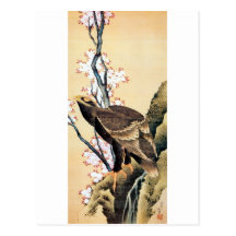 鷲と桜, 北斎 Eagle and Cherry Blossoms, Hokusai Post Cards