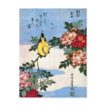 黄鳥長春 Nightingale 葛飾北斎 Hokusai Post Cards