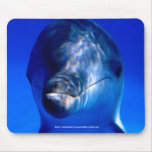 #0014 Dolphin Headshot Mousepad