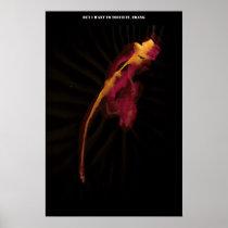 0019 - Wetdryvac - Thinkbag - 2009-06-03 Posters