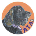 001-0051 STICKERS - PEGATINAS