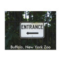 001, Buffalo, New York Zoo postcards