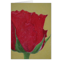 001red rose greeting cards
