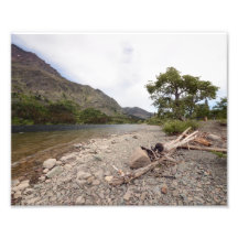 0030 8/12 Running Eagle Falls Glacier Park Photo Art