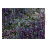 003_06 card