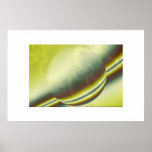 003 PRINT