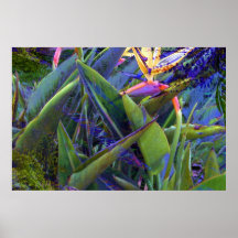 006_06 print
