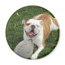 007.JPG FRIDGE MAGNET