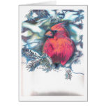 013 cards