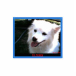 013 PHOTO CUTOUT