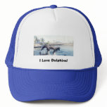 01dolphins, I Love Dolphins! Mesh Hats
