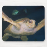 020 mousepads