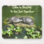 03-21-10 246, Love is Basking in the Sun Together