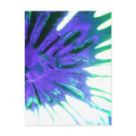 #03 Shattered Flower Veins", Phantasmagoria Series Postcards