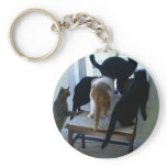 042310_09301[1] keychains