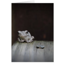 042 GREETING CARD