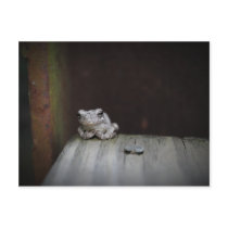 042 POST CARDS