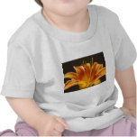05121032 TSHIRTS