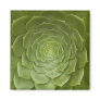 0648 Green Lotus Fridge Magnets