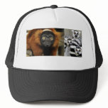 080725-red-ruffed-02, MadagascanRingtailLemurs Trucker Hats