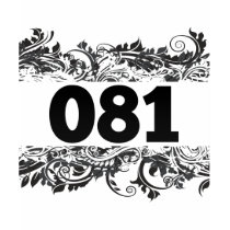 081 TEE SHIRTS