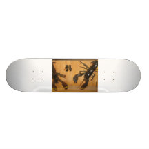 084,ry@n signs , delicious. skate decks