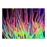 #08 "Absolute Zero Flames", Phantasmagoria Series Cards
