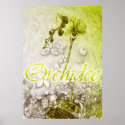 0rchidee posters