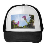 0sunburst hat