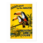1000 Miles Up The Amazon- Vintage Travel Poster Post Card