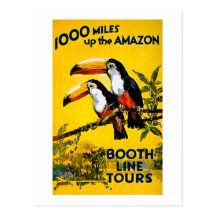 1000 Miles Up The Amazon- Vintage Travel Poster Post Card