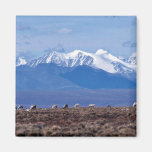 1002 Area: Caribou with mountain backdrop Refrigerator Magnet
