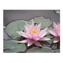 100_0085 POST CARD