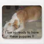 100_0162_crop, I am so ready to have these pupp... mousepads