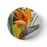 100_0344BIRD OF PARADISE PIN