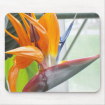 100_0344Bird of Paradise Mousepad