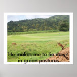 100_0375, He makes me to lie down in green past... Poster