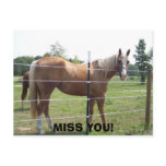 100_0415, MISS YOU! POSTCARDS