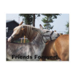 100_0424, Friends Forever! Post Card