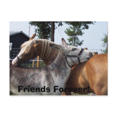 100_0424, Friends Forever! Post Card by gretchen460